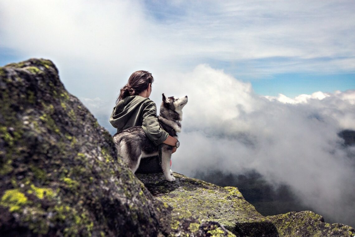 Potere terapeutico dei cani