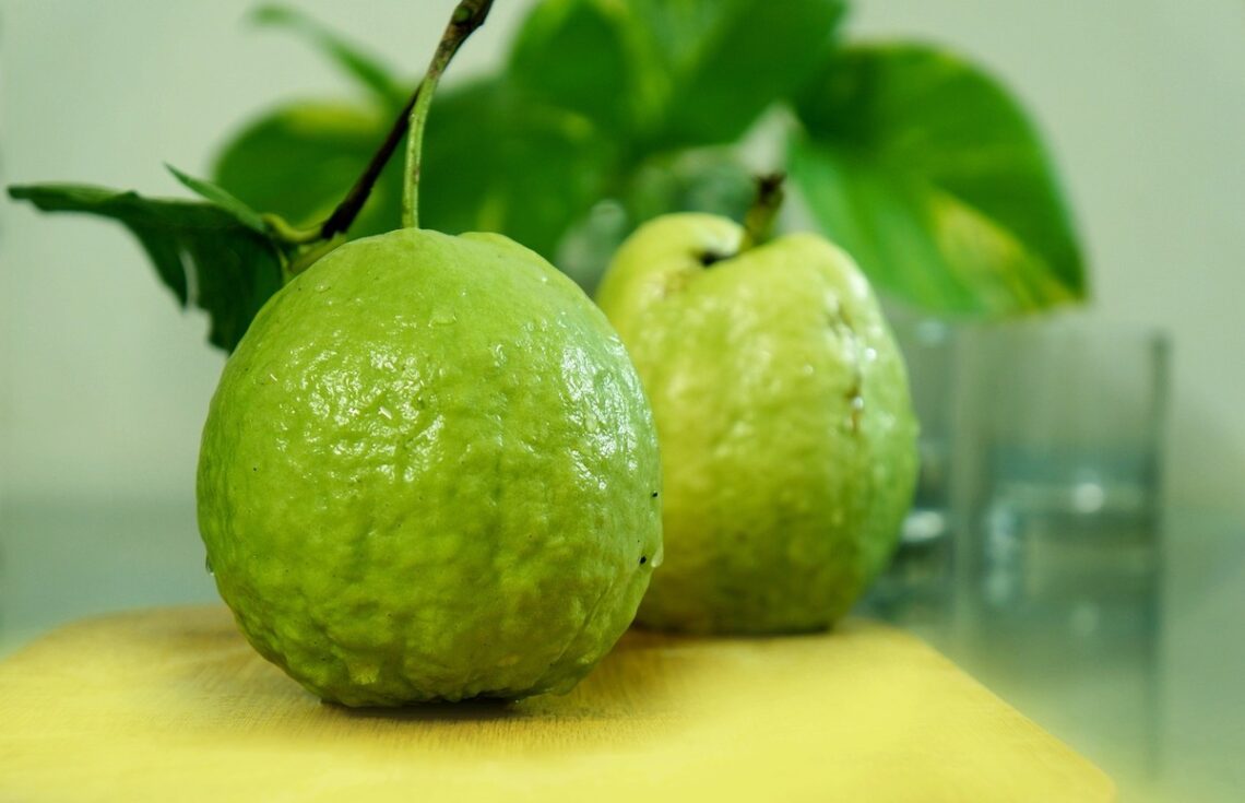 Origine e proprietà della guava