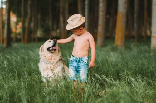 Benefici degli animali domestici per i bambini