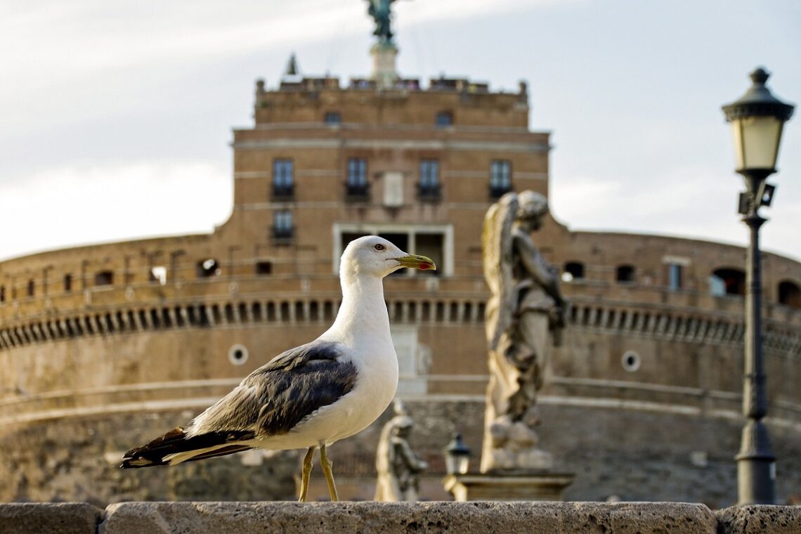 Musei italiani