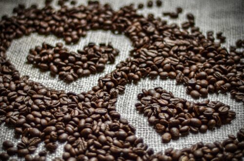 Quali sono le differenze tra caffè arabica e caffè robusta?