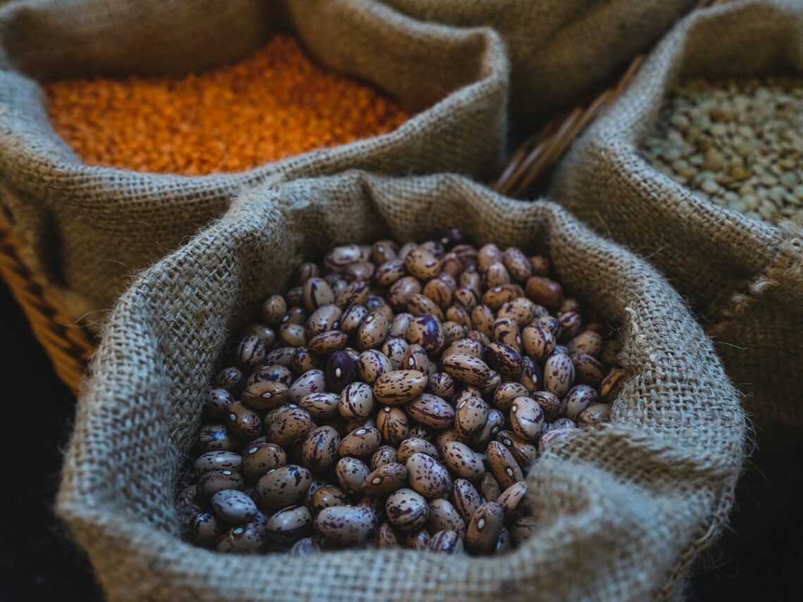 Le proteine vegetali di Martino Beria: recensione