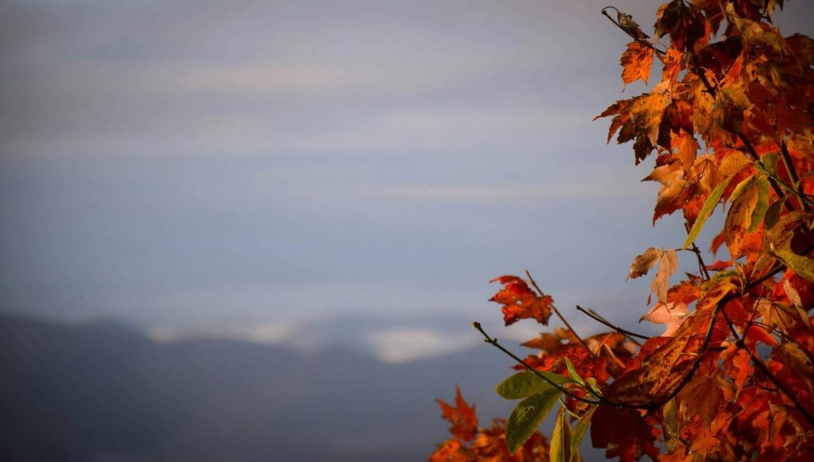 Trekking autunnale in sicurezza