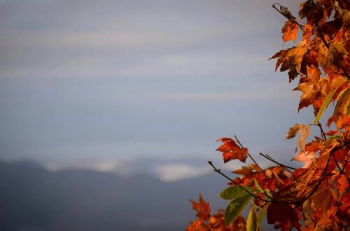 Trekking autunnale in sicurezza