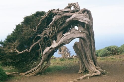 El Hierro, l'isola più piccola delle Canarie