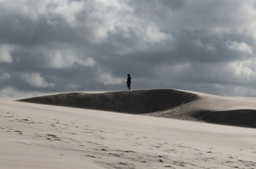 Correlazione tra solitudine e QI