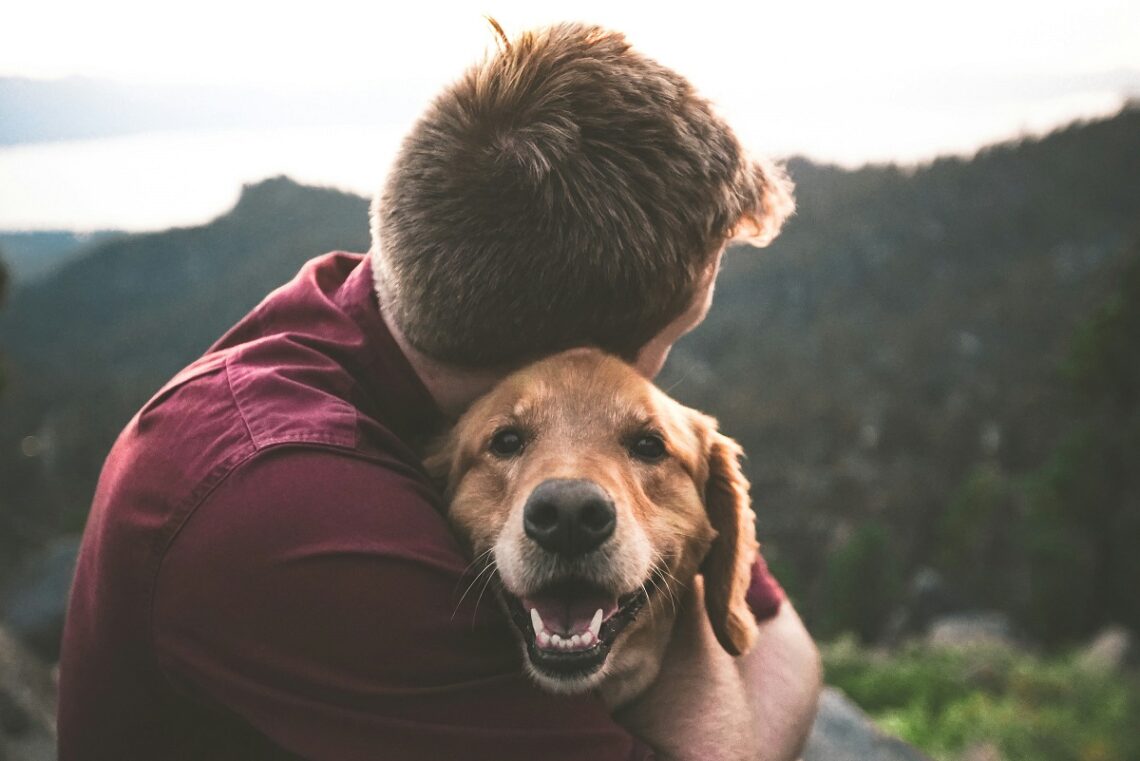 I cani assorbono lo stress dei proprietari