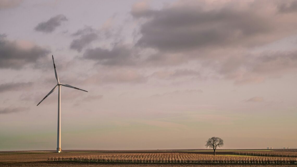 Sviluppo storico dell'energia eolica