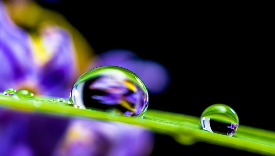 Consumo di acqua in Italia