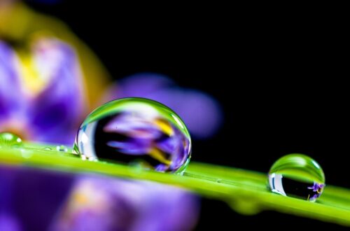 Consumo di acqua in Italia